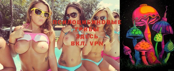 дурь Белокуриха